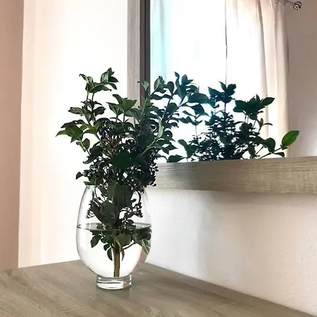 Luxury In The Center Διαμέρισμα Καλαμάτα
